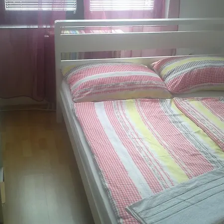 بيت شباب Havana *